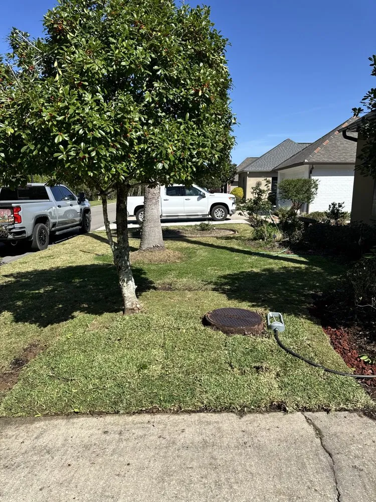 Expert landscaping services for year-round maintenance in French Settlement, LA by Blades Mowing & Landscaping