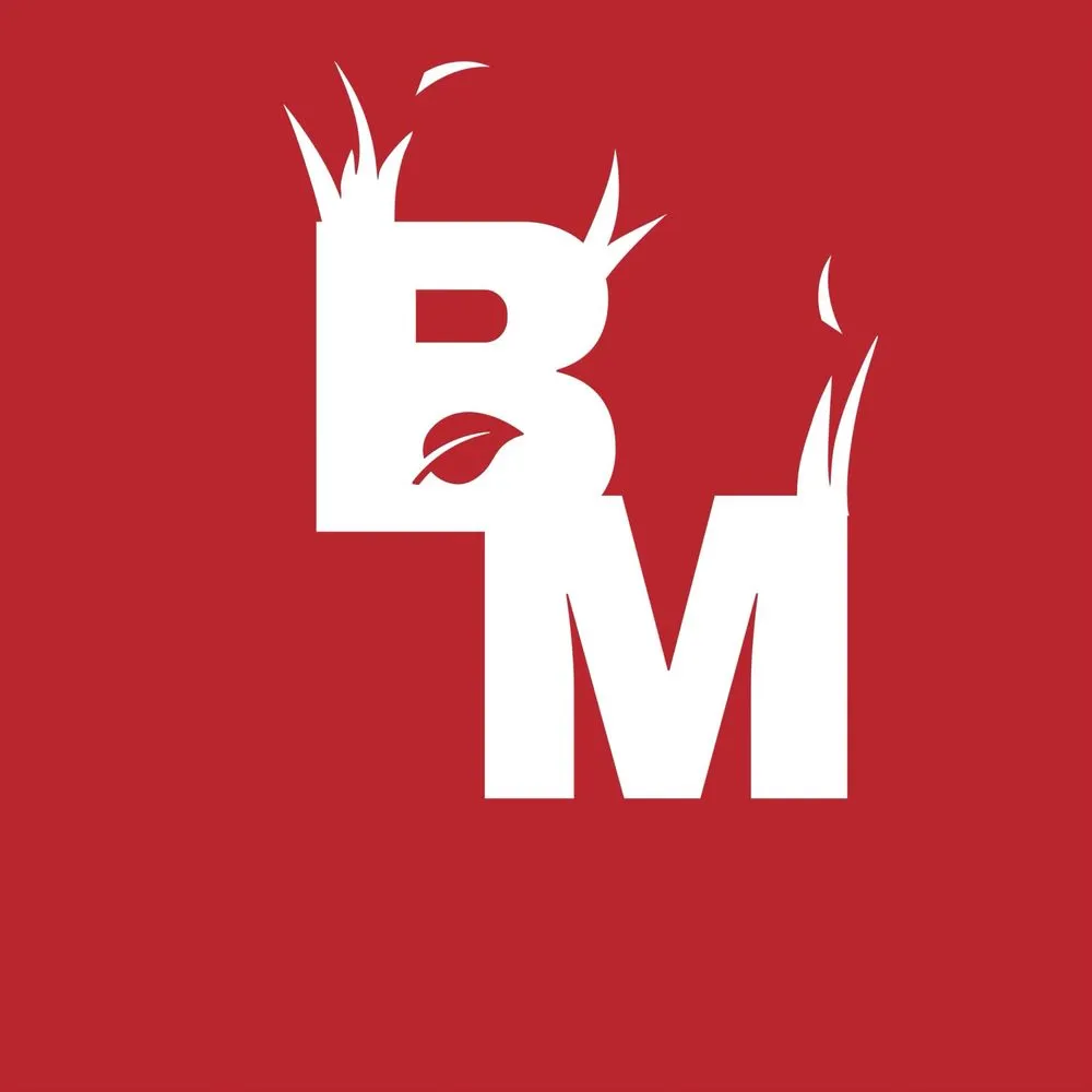 Professional lawn care service near you in French Settlement, LA by Blades Mowing & Landscaping