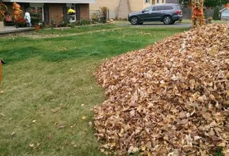 Top-rated landscape installation in Grindstone, PA - Blades N Spades Landscaping Grindstone