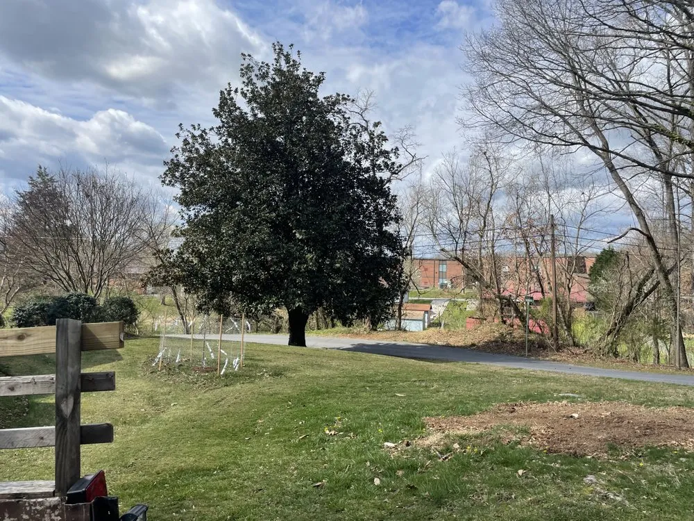 Affordable landscape installation experts serving Kingsport, TN - Blades of glory