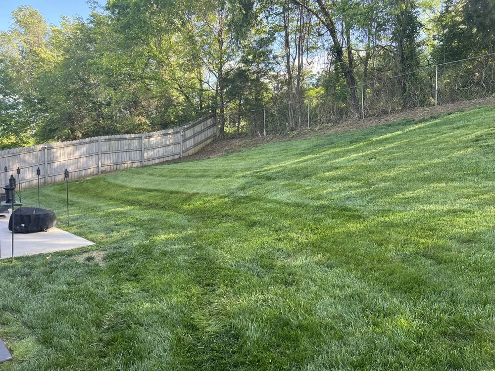 Affordable landscape design for year-round maintenance in Knoxville, TN by Blades Of Glory Lawn Care