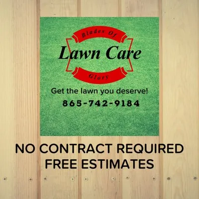 Blades Of Glory Lawn Care Logo