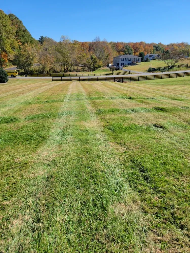 Reliable landscaping services for year-round maintenance across Louisa, VA - Blades of Glory Lawn Care