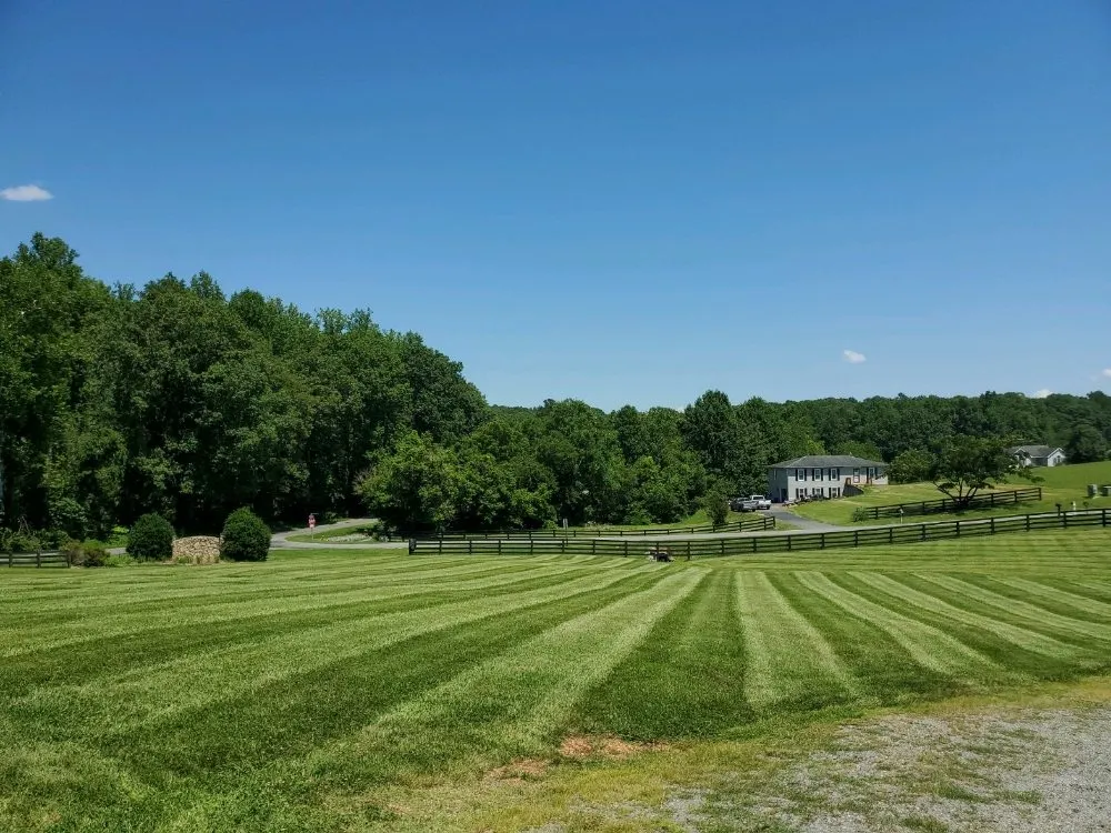 Expert residential landscaping near you in Louisa, VA by Blades of Glory Lawn Care