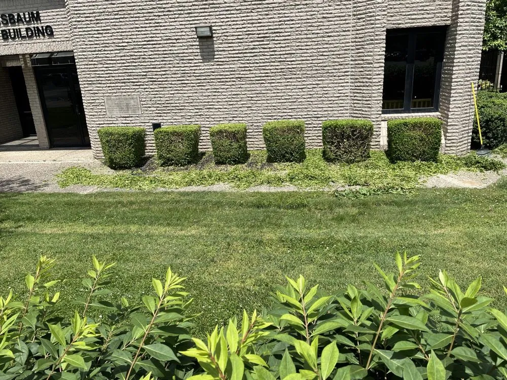 Affordable landscape design in Louisville, KY by Blades of Glory Lawncare and Landscaping