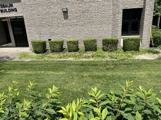 Blades of Glory Lawncare and Landscaping Logo