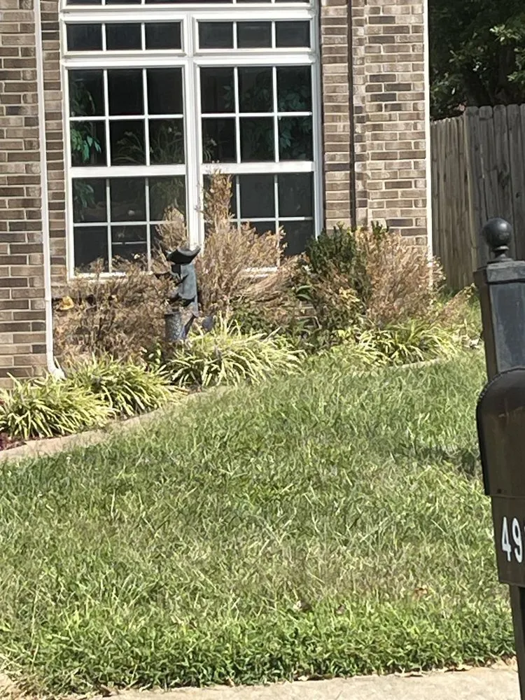 Local outdoor landscaping near you in Louisville, KY by Blades of Glory