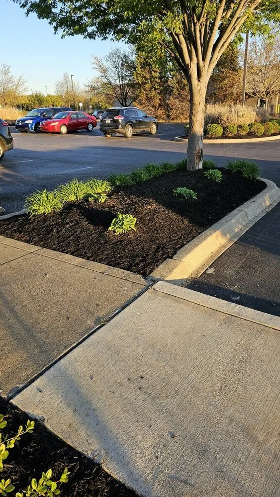 Local lawn mowing service for residential properties across Louisville, KY - Blades of Glory