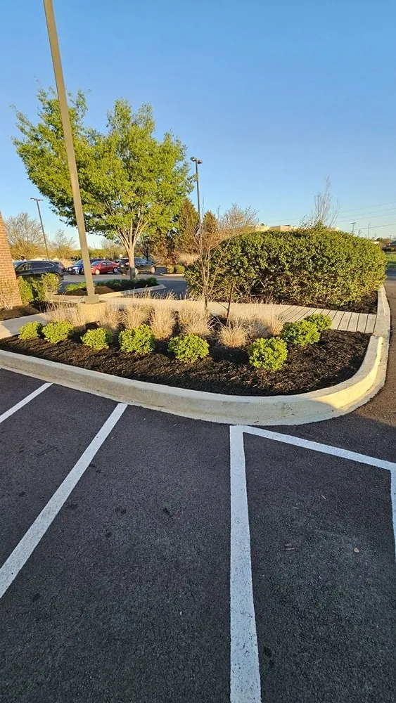 Reliable lawn care service in Louisville, KY by Blades of Glory