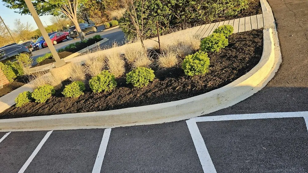 Top-rated lawn mowing service experts serving Louisville, KY - Blades of Glory