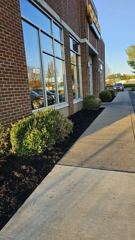 Reliable lawn mowing service for beautiful yards in Louisville, KY by Blades of Glory