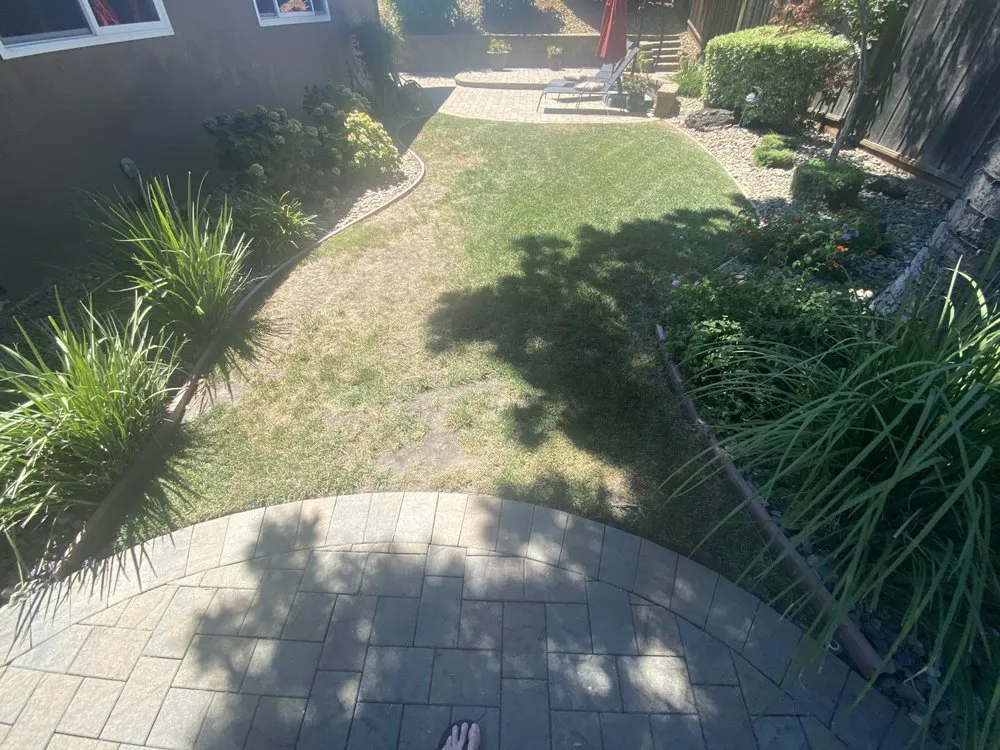 Affordable landscaping services in Walnut Creek, CA by Blades of Glory Synthetic Lawns & Putting Greens