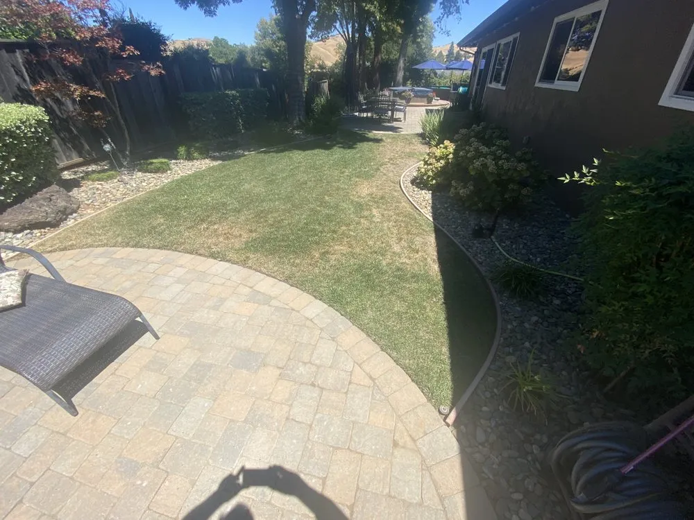 Trusted yard cleanup service with custom design across Walnut Creek, CA - Blades of Glory Synthetic Lawns & Putting Greens