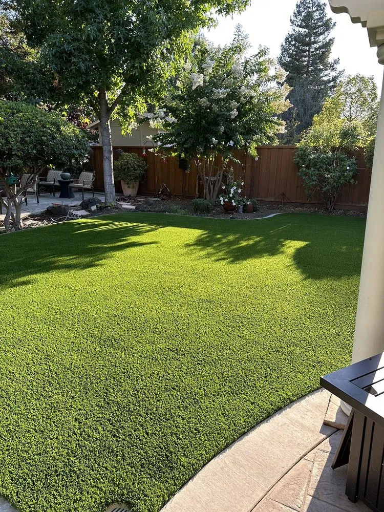 Local yard maintenance in Walnut Creek, CA - Blades of Glory Synthetic Lawns & Putting Greens