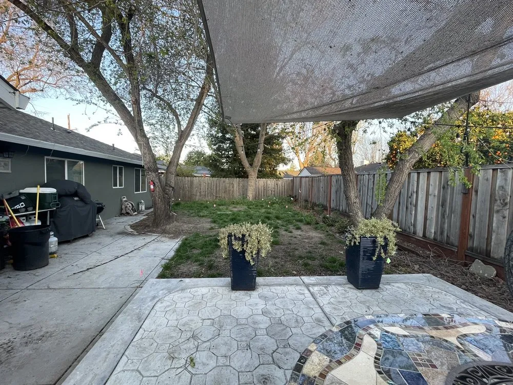 Local garden landscaping in Walnut Creek, CA - Blades of Glory Synthetic Lawns & Putting Greens