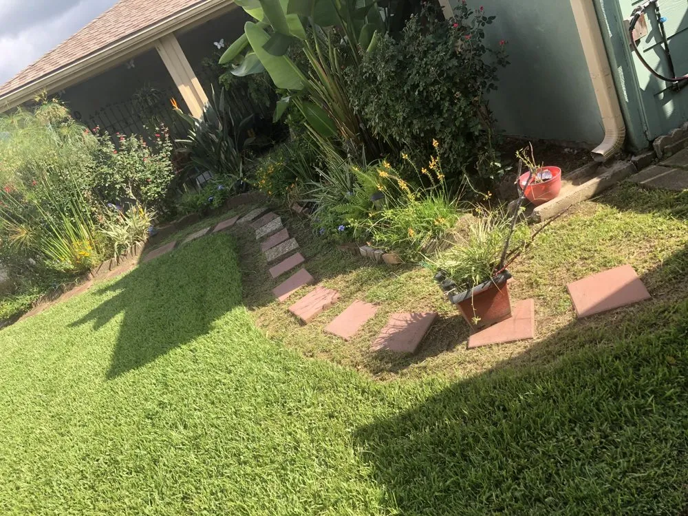 Top-rated outdoor landscaping for year-round maintenance in Westwego, LA by Blades of Grace Landscaping