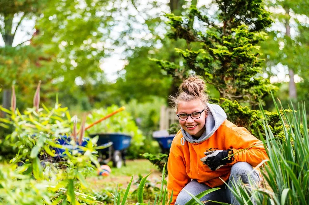 Professional garden landscaping in Oberlin, OH - Blades of Grass Landscaping