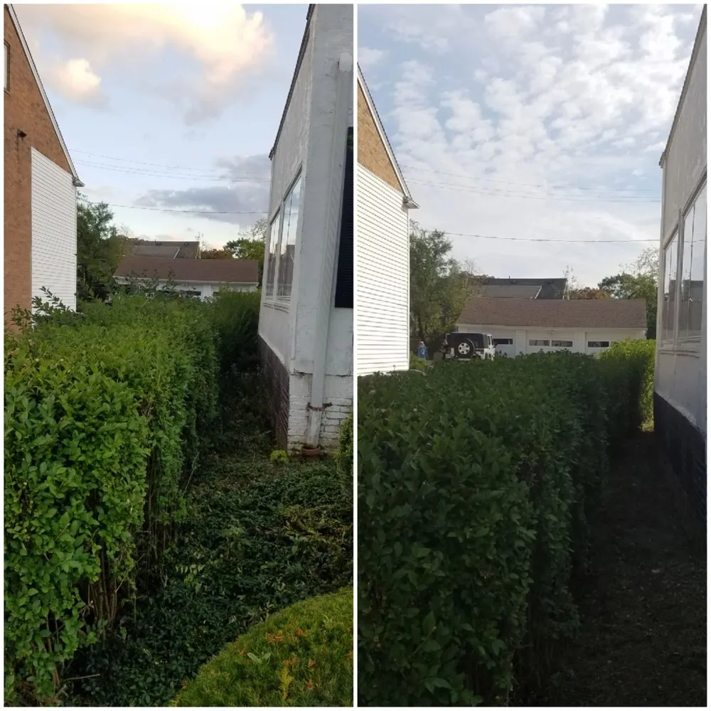 Local lawn care service near you across Oberlin, OH - Blades of Grass Landscaping