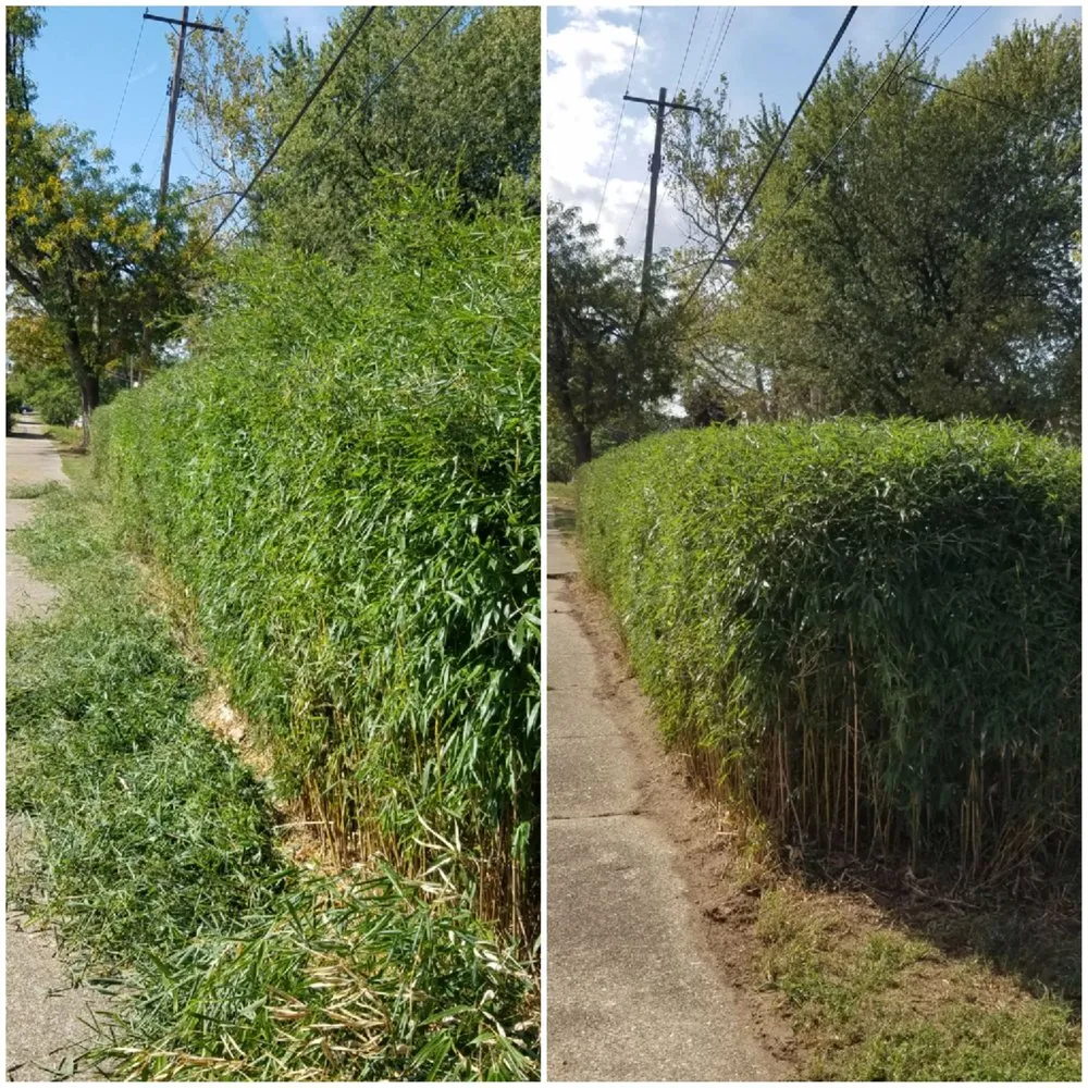 Expert residential landscaping for homes in Oberlin, OH by Blades of Grass Landscaping