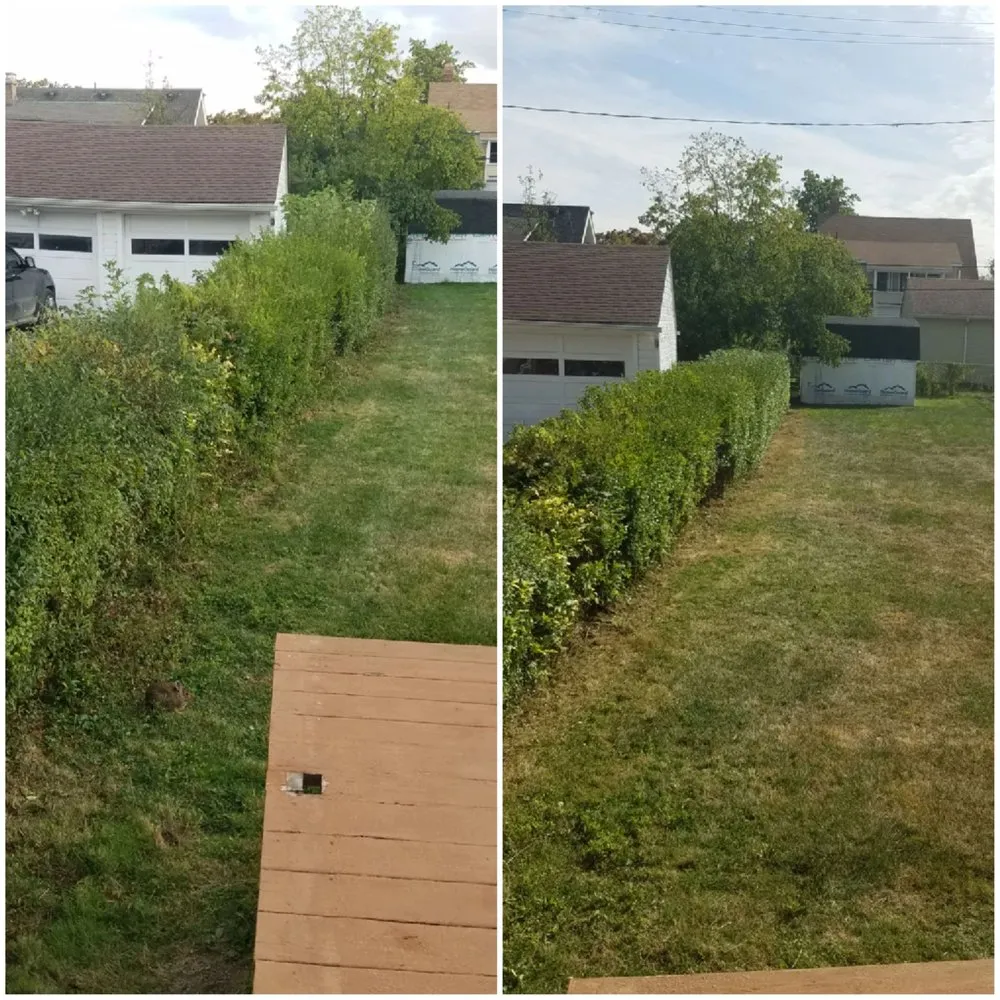 Top-rated residential landscaping for year-round maintenance across Oberlin, OH - Blades of Grass Landscaping