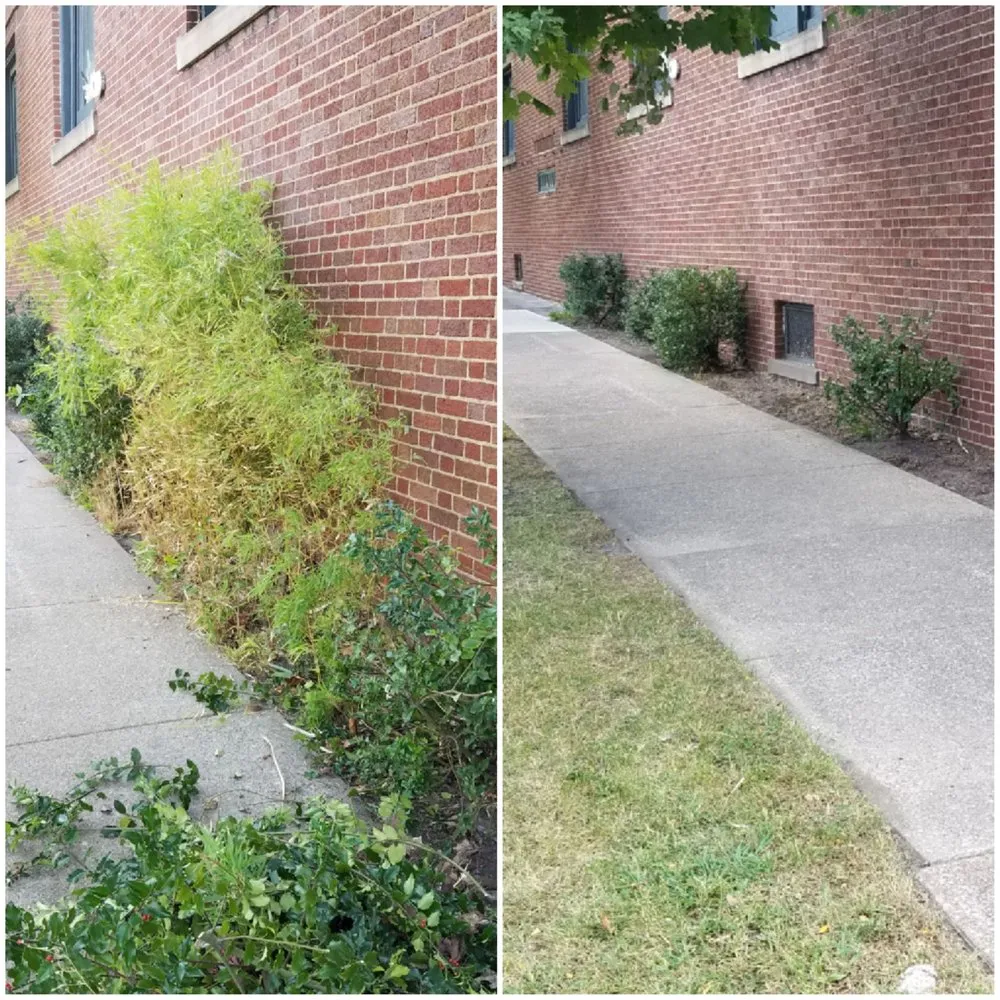 Top-rated lawn mowing service with custom design in Oberlin, OH by Blades of Grass Landscaping