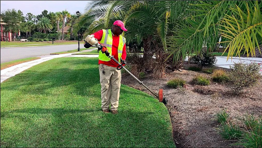 Expert outdoor landscaping in Savannah, GA - Blades of Grass Lawn Care