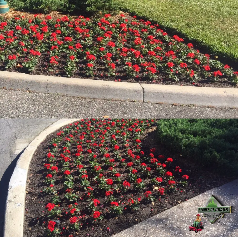 Reliable landscape installation in Savannah, GA by Blades of Grass Lawn Care