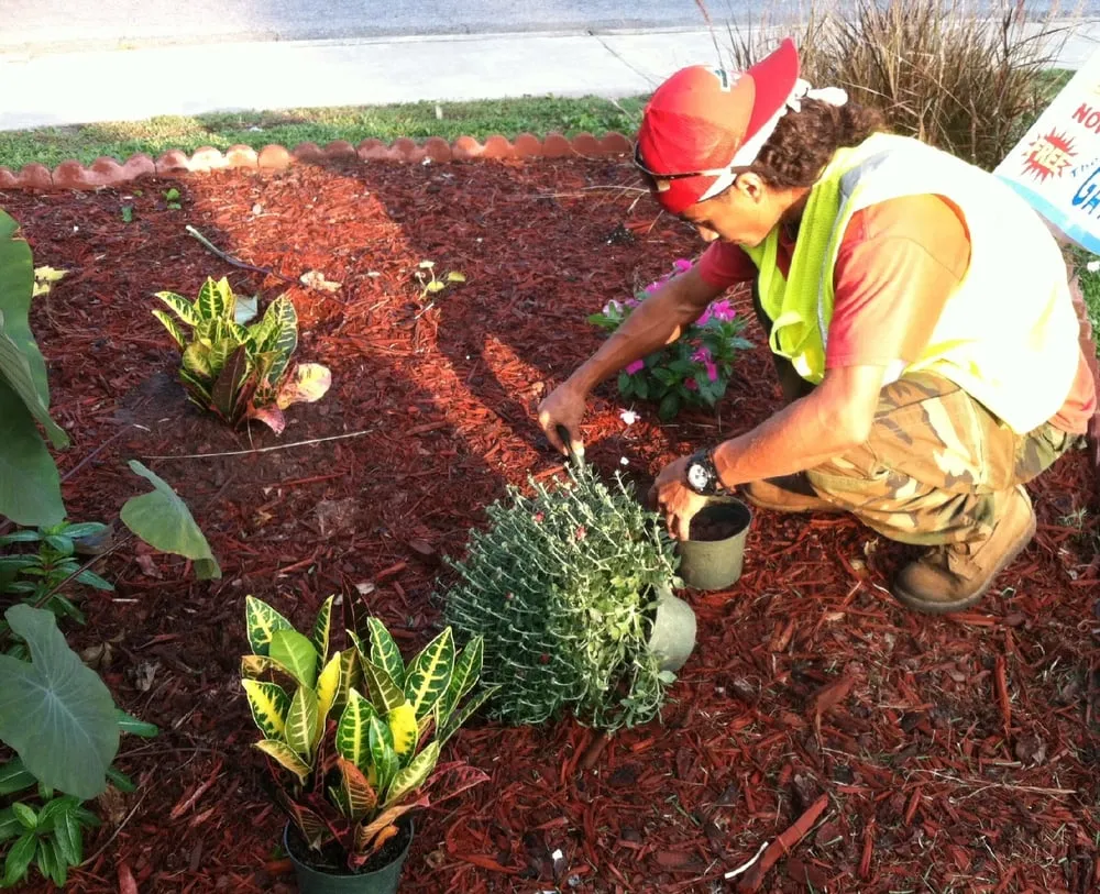 Reliable landscape installation for year-round maintenance in Savannah, GA by Blades of Grass Lawn Care