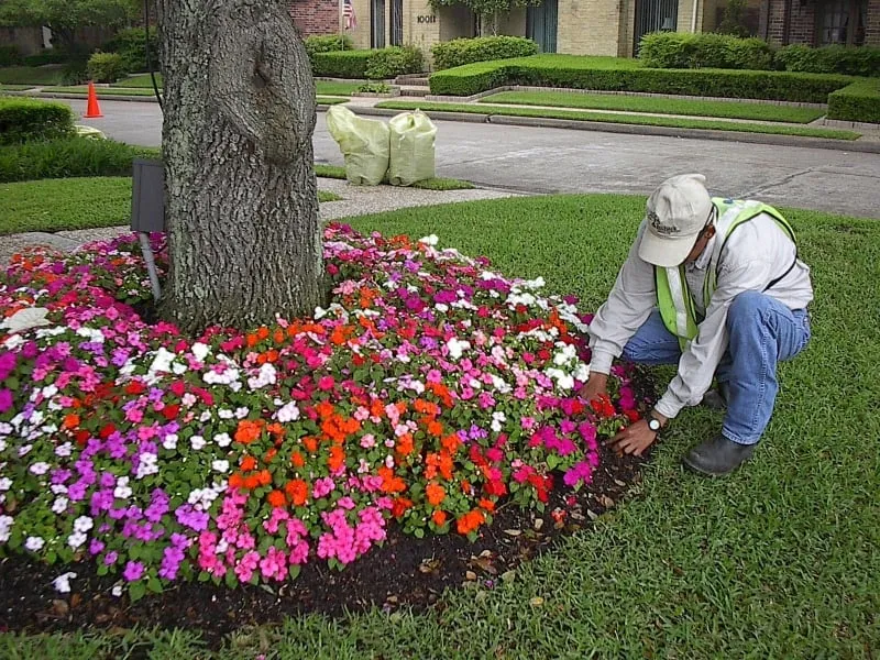 Trusted outdoor landscaping for beautiful yards in Savannah, GA by Blades of Grass Lawn Care