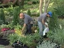 Affordable residential landscaping in Savannah, GA by Blades of Grass Lawn Care