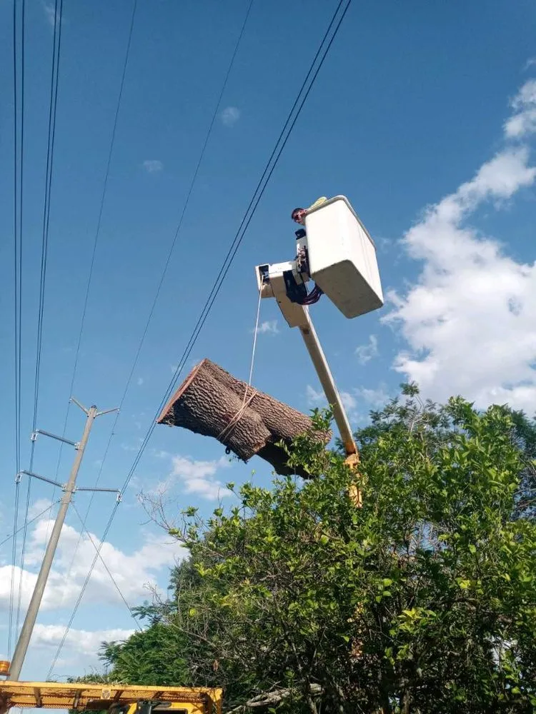 Top-rated lawn mowing service in Bradenton, FL - Blades of Grass Lawn Service