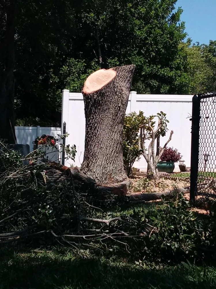 Affordable landscape installation for year-round maintenance across Bradenton, FL - Blades of Grass Lawn Service