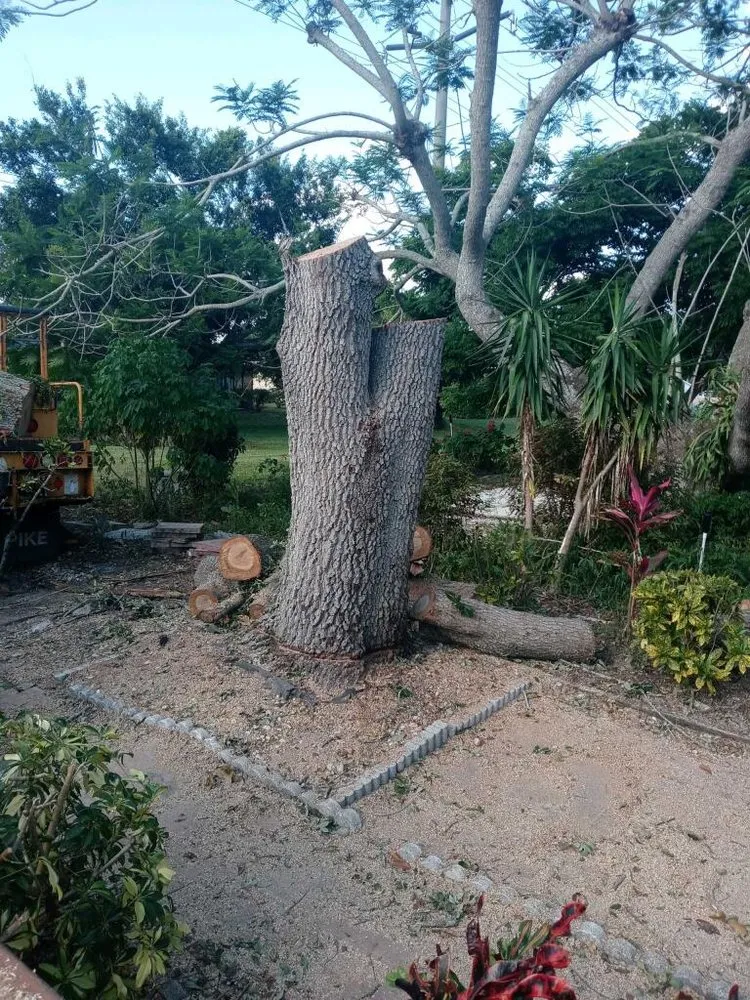 Top-rated outdoor landscaping near you in Bradenton, FL by Blades of Grass Lawn Service