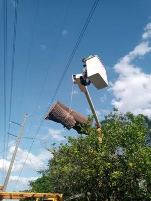 Blades of Grass Lawn Service Logo