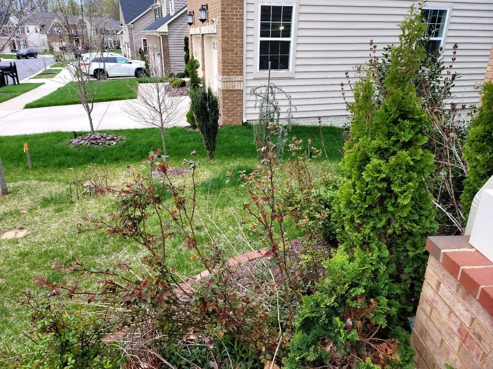 Local landscape design for residential properties across Edgewater, MD - Blades of Green