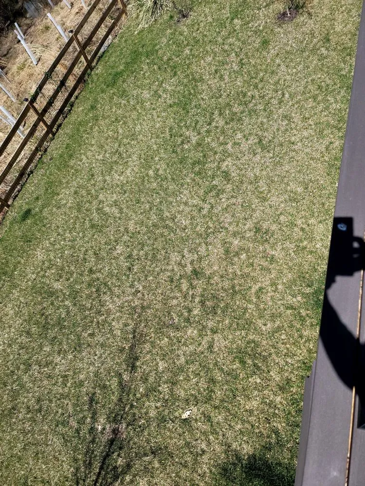 Reliable yard cleanup service with custom design across Edgewater, MD - Blades of Green