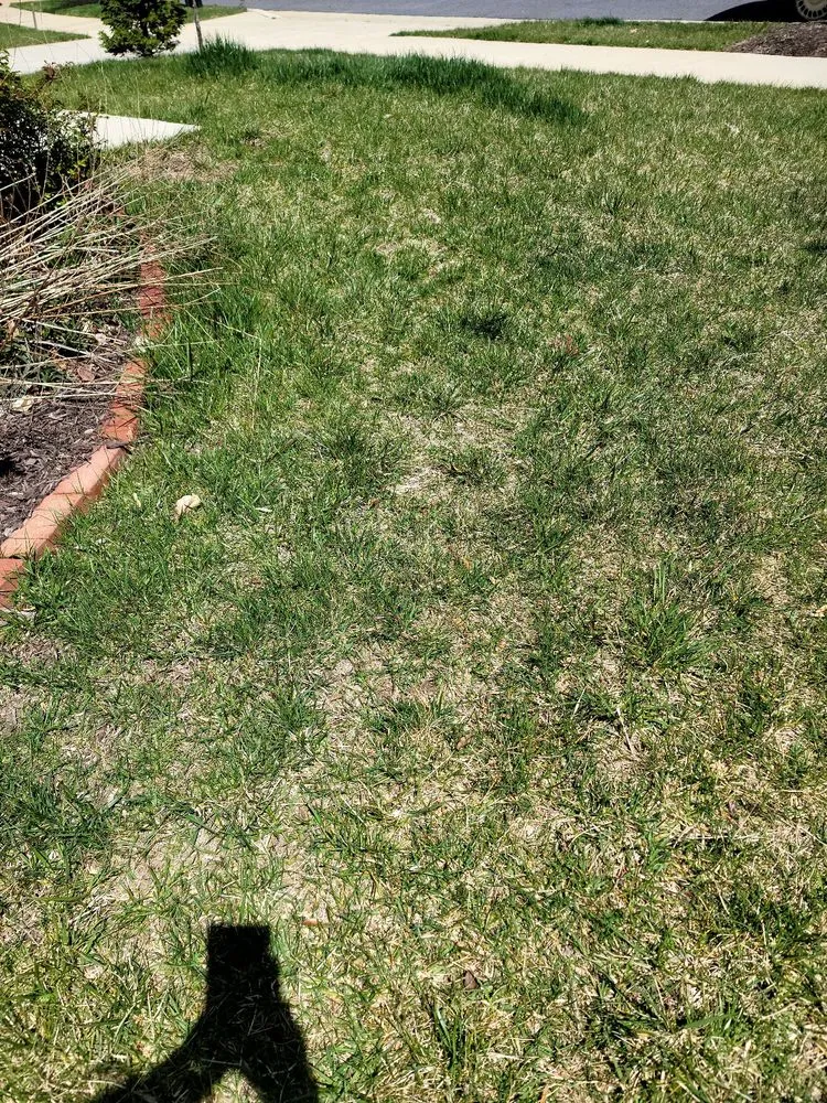 Top-rated yard maintenance in Edgewater, MD - Blades of Green