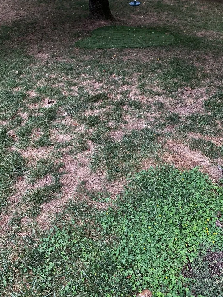 Reliable garden landscaping for residential properties in Edgewater, MD by Blades of Green