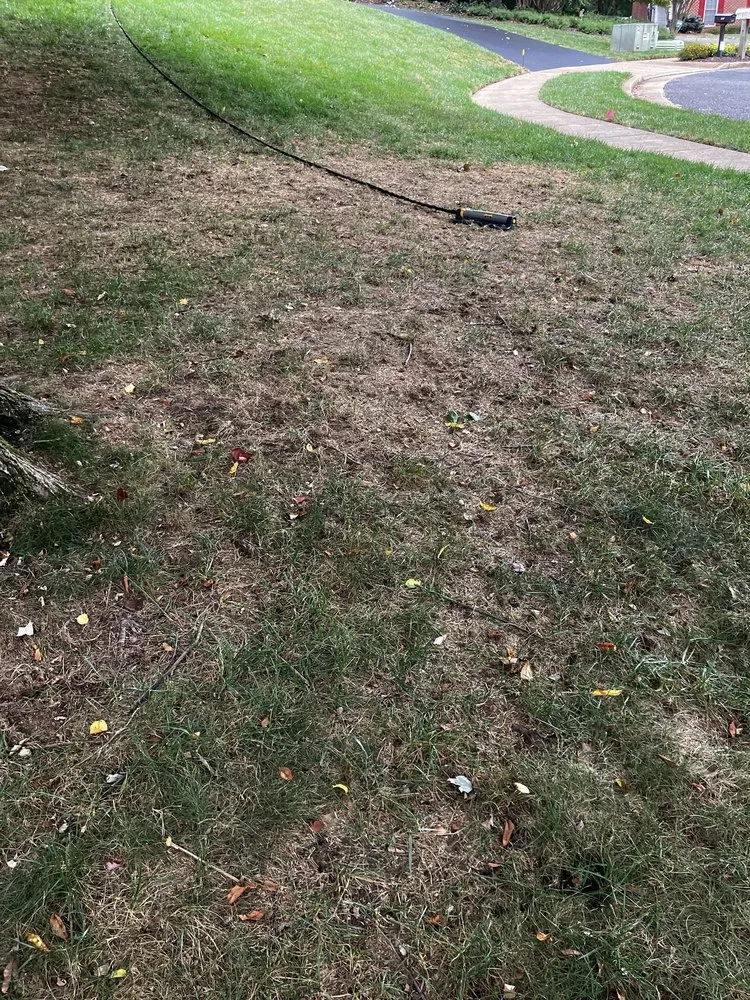 Local yard maintenance in Edgewater, MD - Blades of Green