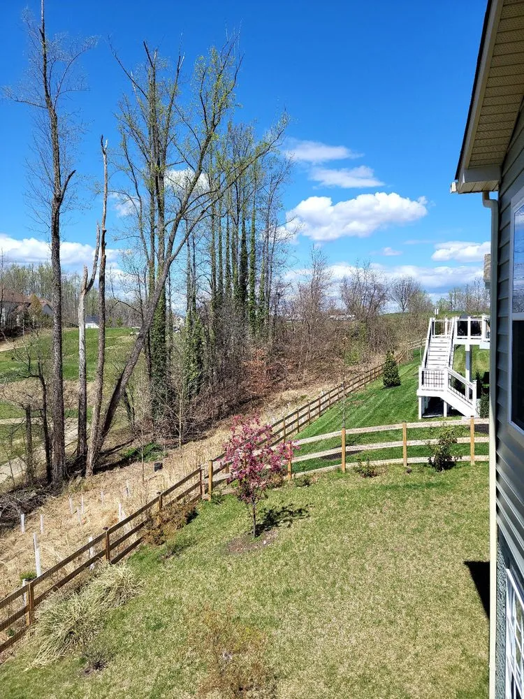 Professional residential landscaping in Edgewater, MD - Blades of Green