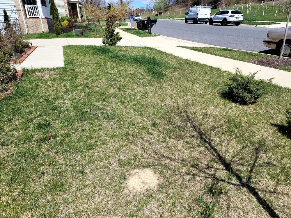 Reliable lawn care service with custom design in Edgewater, MD by Blades of Green