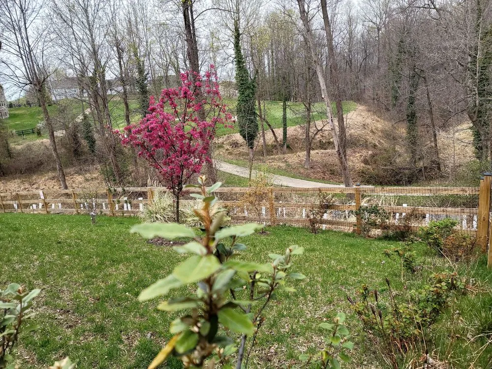 Professional outdoor landscaping near you in Edgewater, MD by Blades of Green