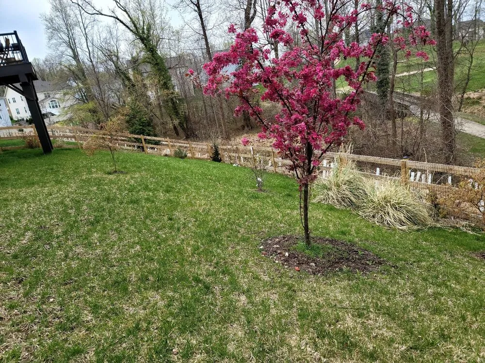 Affordable yard cleanup service with custom design across Edgewater, MD - Blades of Green