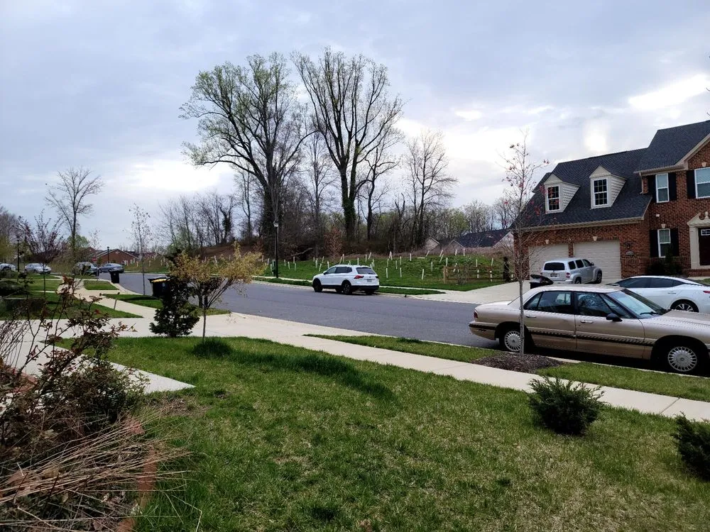 Local outdoor landscaping experts serving Edgewater, MD - Blades of Green