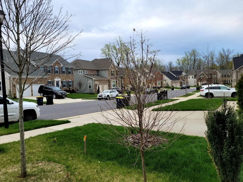 Custom landscape design for homes in Edgewater, MD by Blades of Green