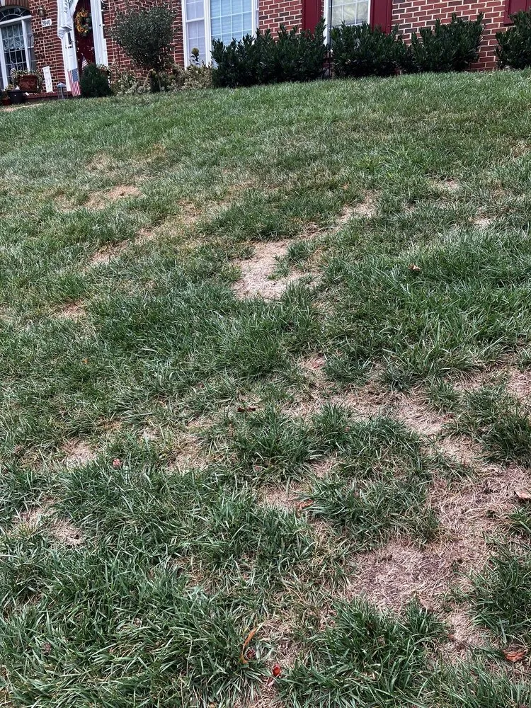 Affordable yard maintenance with custom design across Edgewater, MD - Blades of Green