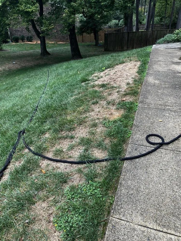 Expert yard maintenance experts serving Edgewater, MD - Blades of Green