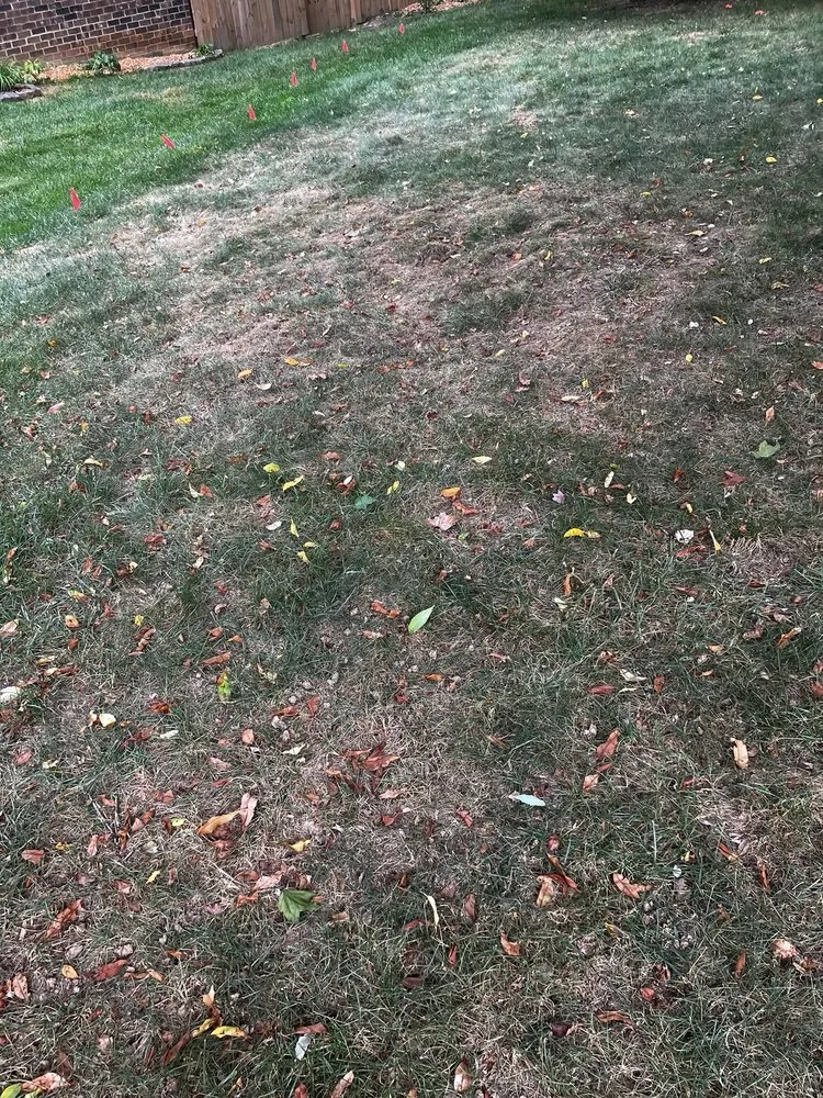 Reliable landscaping services in Edgewater, MD by Blades of Green