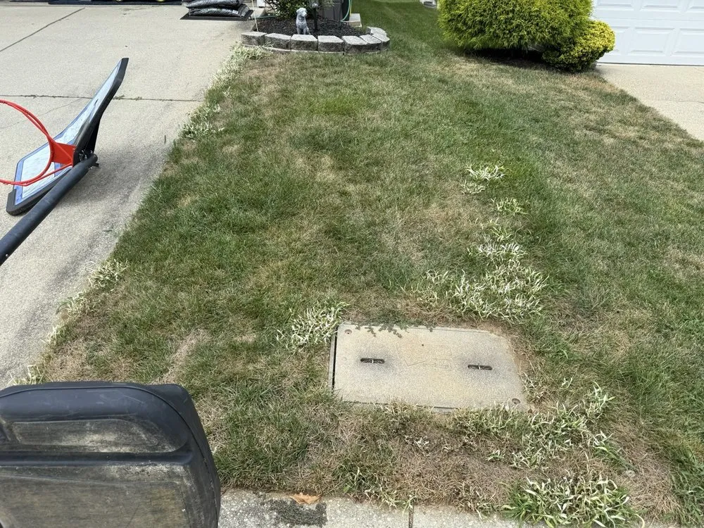 Top-rated lawn mowing service for homes in Springfield, VA by Blades of Green