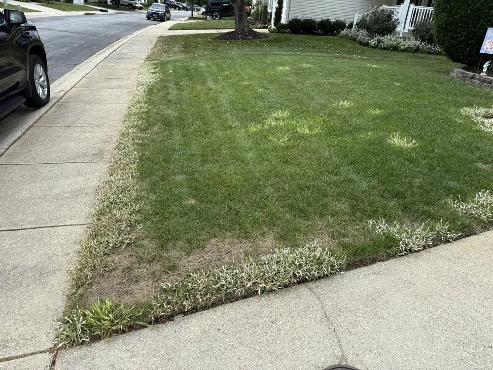 Trusted outdoor landscaping in Springfield, VA - Blades of Green